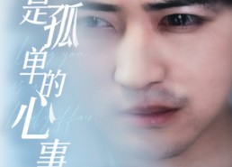 【新：爱你是孤单的心事】32集短剧在线免费全集览