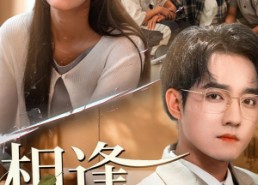 【相逢却不识】77集短剧在线免费畅快看