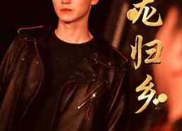 【游龙归乡】60集短剧在线无费观看