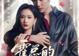 【霍总的掌中娇】80集免费短剧在线观览