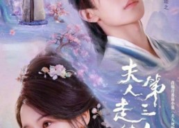 【夫人走的第三年】72集短剧无付费全集在线赏