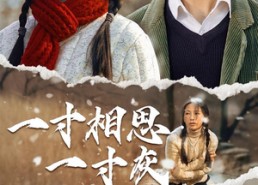 【一寸相思一寸灰】43集短剧在线畅享观看