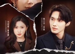 【谎言撕碎后】30集短剧免费全集阅看