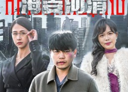 【士者愿以此身报家国】74集免费短剧在线看全