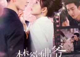 【禁欲佛爷心尖宠】101集全网短剧免费观看