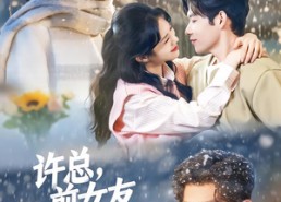 【许总，前女友喊你别追了】80集短剧在线观看无广告