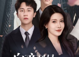 【自恋风暴乌龙事】60集短剧免费全集赏播