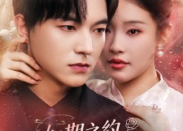 【如期之约心动予你】82集在线看短剧全集资源