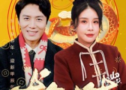 【龙年大吉之衣锦还乡】89集短剧免费随时观看