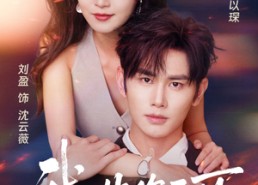 【我非你不可】81集短剧在线看全集无广告