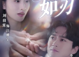 【情深如刃】48集短剧免费网络快看