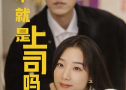 【不就是上司吗】80集精彩短剧即点即看