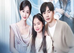 【求婚九十九次离婚一秒钟】50集免费短剧完整观看