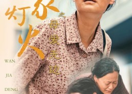 【万家灯火之母爱无边】40集全集短剧免费观