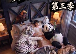 【完了，这破农场来的全是祖宗！第三季】100集短剧全集免费播