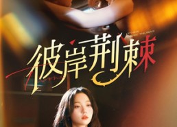 【彼岸荆棘】88集短剧在线免费全集览