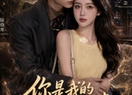 【你是我的人间欢喜】56集短剧免费在线赏看