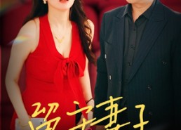 【留守妻子的秘密】28集短剧免费完整观看