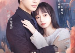 【双生夺爱陆总你认错夫人了】94集短剧在线全集免费收看