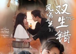 【凤鸣三生3：双生错】79集短剧全集免费任意看