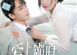 【爱上霸道女总裁】73集短剧免费全集瞅看