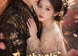 【两世沉冤，嫡女揭开沈家阴谋】57集短剧免费全集悦看