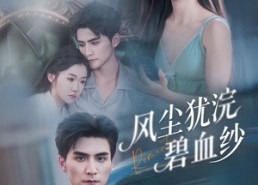 【风尘犹浣碧血纱】60集免费短剧在线畅看
