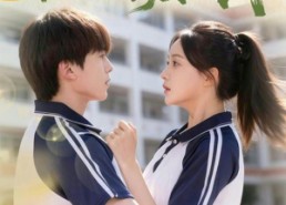 【校草的心动陷阱】60集短剧全集免费在线观赏