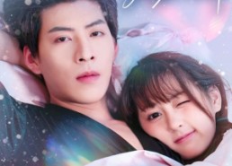 【重生后太太成了傅总的贴身小挂件】81集完整短剧免费在线览