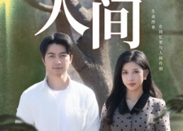 【再见人间】30集短剧免费全集线上看