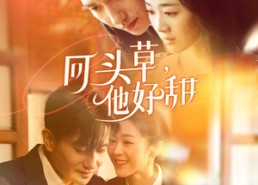 【回头草，他好甜】80集免费短剧全集线上观