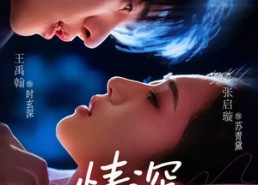 【情深不知处】85集短剧免费全集观赏