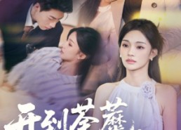 【开到荼蘼，花事终了】77集短剧全集在线免费赏看