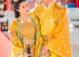 【凤归桑梓】81集短剧全集在线赏看