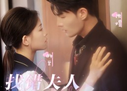 【找错夫人爱对妻】36集短剧免费全集线上观看