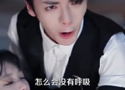 【予她半城】100集短剧完整版在线观看