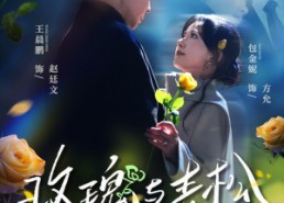 【玫瑰与青松】79集短剧免费高清在线看