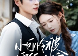 【小可怜被霍爷全家宠上天】65集在线看短剧完整版