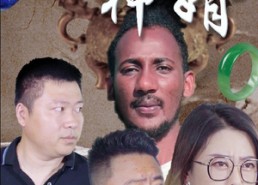 【鉴宝神婿】87集短剧免费高清观看