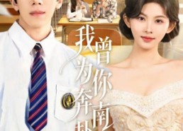 【我曾为你奔南赴北】60集短剧免费高清在线看