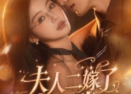 【夫人二嫁了，前夫请靠边】68集短剧免费在线速看