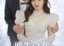 【报告总裁您找错夫人了】全集93集短剧免费在线观看