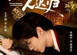 【梨花欲谢人迟归】60集短剧免费高清在线看