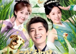 【古代种田，朝廷给我发媳妇】81集短剧全集免费畅看