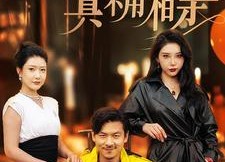 【儿子，你爸我真不用相亲】80集短剧全集免费畅看