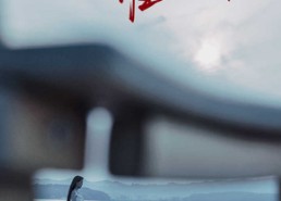 【全世界谁倾听你】30集短剧免费看高清全集