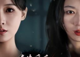 【错爱后，我们结盟了】65集短剧全集免费速看