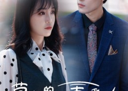 【慕少的甜妻秘书】100集短剧免费观看全辑