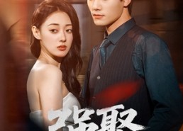 【强娶】80集在线免费短剧全集观