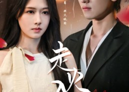 【走火入爱】62集短剧免费在线赏全集